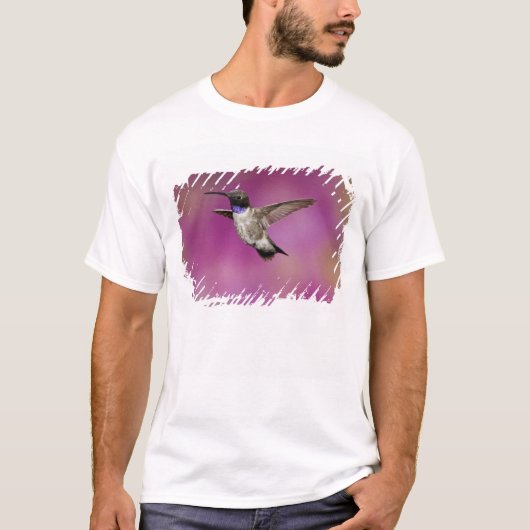 Zwarte kolibrie, Archilochus T-shirt (Voorkant)
