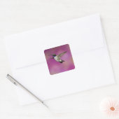 Zwarte kolibrie, Archilochus Vierkante Sticker (Envelop)