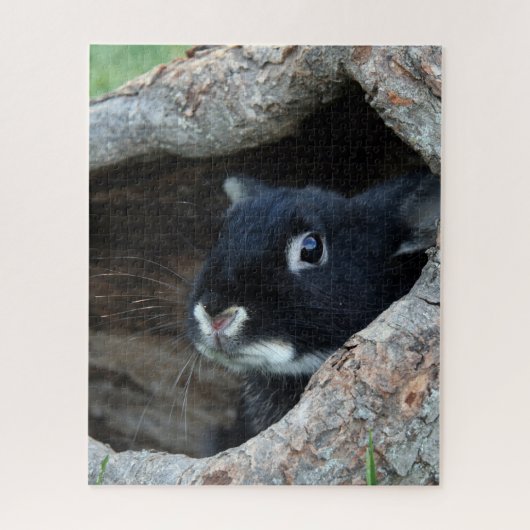 Zwarte Konijn in Holle Boom Foto Legpuzzel (Verticaal)