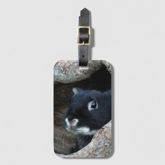 Zwarte konijn in Hollow van een boom Bagagelabel (Voorkant (verticaal))