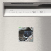 Zwarte konijn in Hollow van een Boom Foto Magneet (Insitu (Vaatwasser))