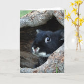 Zwarte konijn in Hollow van een boom Kaart (Gele Bloem)