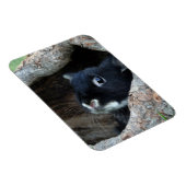 Zwarte konijn in Hollow van een boom Magneet (Rechterzijde)