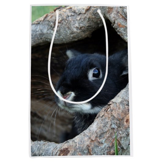 Zwarte konijn in Hollow van een boom Medium Cadeauzakje (Voorkant)