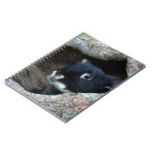 Zwarte konijn in Hollow van een boom Notitieboek (Linkerzijde)