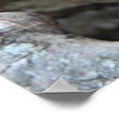 Zwarte konijn in Hollow van een boom Poster (Hoek)