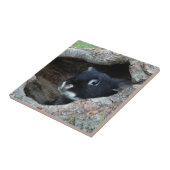 Zwarte konijn in Hollow van een boom Tegeltje (Zijkant)