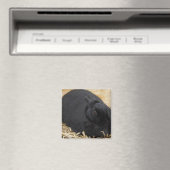 Zwarte konijn magneet (Insitu (Vaatwasser))