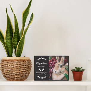 Zwarte Konijn Pootjes Groene Plant Foto Konijn Her Fotoplaat