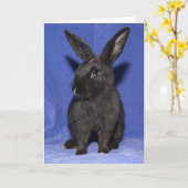 Zwarte konijnenkonijn kaart (Gele Bloem)