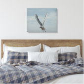 Zwarte kopmeeuw in vlucht canvas afdruk (Insitu (Slaapkamer))