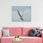 Zwarte kopmeeuw in vlucht canvas afdruk (Insitu (Woonkamer))