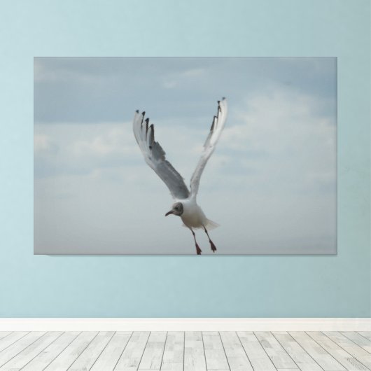 Zwarte kopmeeuw in vlucht canvas afdruk (Insitu (Houten vloer))
