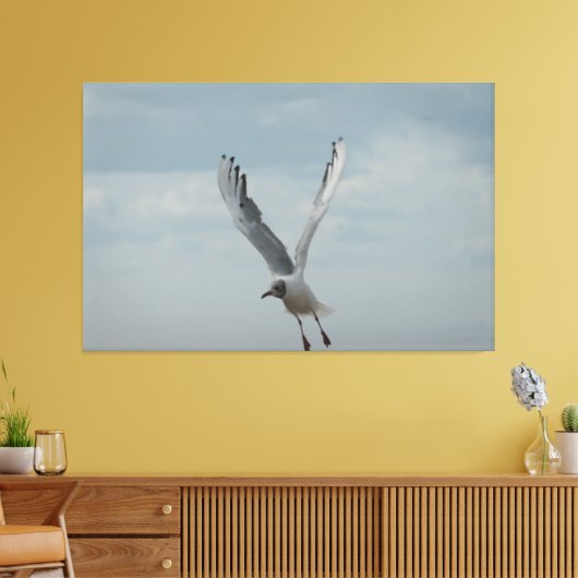 Zwarte kopmeeuw in vlucht canvas afdruk (Insitu (Woonkamer))