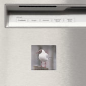 Zwarte kopmeeuw magneet (Insitu (Vaatwasser))