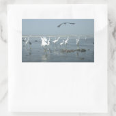 Zwarte kraai en witte kraanvogels: een contrast in rechthoekige sticker (Tas)