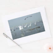 Zwarte kraai en witte kraanvogels: een contrast in rechthoekige sticker (Envelop)