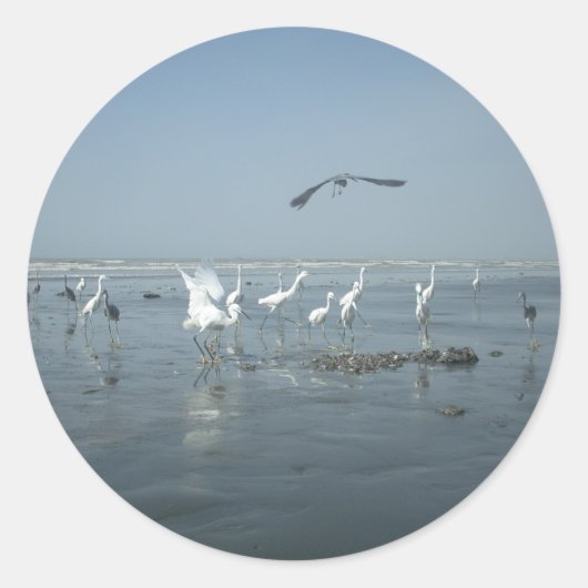 Zwarte kraai en witte kraanvogels: een contrast in ronde sticker (Voorkant)