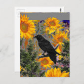 zwarte kraai en zonnebloemen briefkaart (Voorkant / Achterkant)