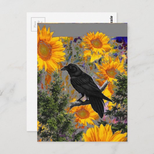 zwarte kraai en zonnebloemen briefkaart (Voorkant / Achterkant)