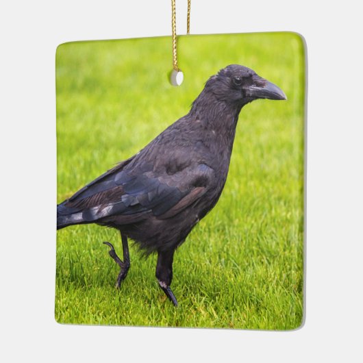 Zwarte kraai keramisch ornament (Links)