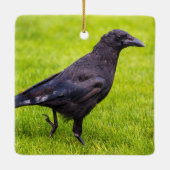 Zwarte kraai keramisch ornament (Achterkant)