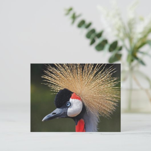 Zwarte kraan briefkaart (Staand voorkant)