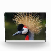 Zwarte kraan fotoblokken (Voorkant)
