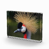Zwarte kraan fotoblokken (Rechts)