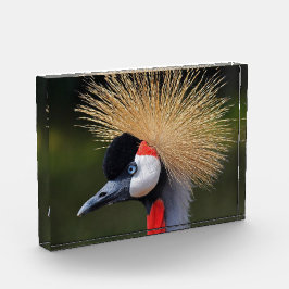 Zwarte kraan fotoblokken