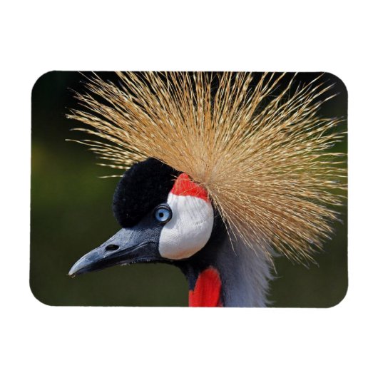 Zwarte kraan magneet (Horizontaal)