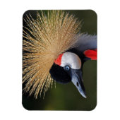 Zwarte kraan magneet (Verticaal)