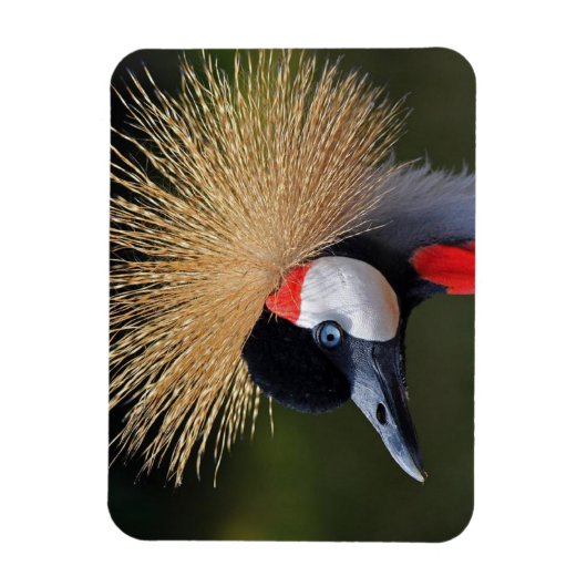 Zwarte kraan magneet (Verticaal)