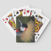 Zwarte kraan pokerkaarten (Achterkant)