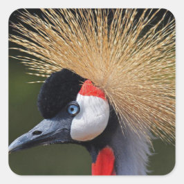 Zwarte kraan vierkante sticker