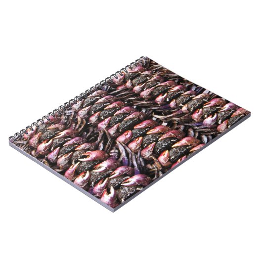 Zwarte krabben [Po Na] ... Thai Street Food Notitieboek (Linkerzijde)