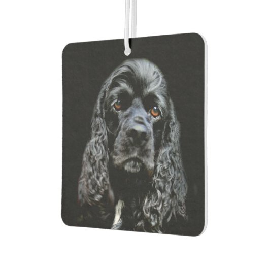 Zwarte kransspaangezicht luchtverfrisser (Links)