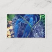 zwarte kreeft visitekaartje (Achterkant)