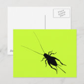 Zwarte Krekel Briefkaart (Voorkant / Achterkant)
