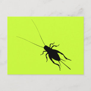 Zwarte Krekel Briefkaart