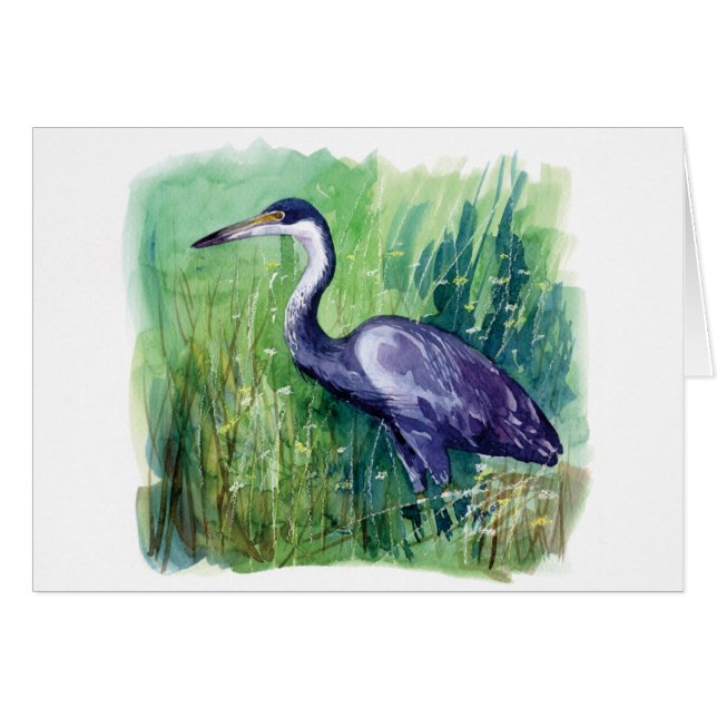 zwarte kruid (Voorkant Horizontaal)