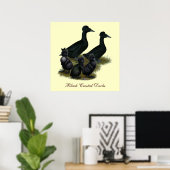 Zwarte Kuif-eendenfamilie Poster (Thuiskantoor)