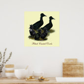 Zwarte Kuif-eendenfamilie Poster (Keuken)
