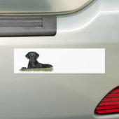 Zwarte Lab Bumpersticker (Op auto)