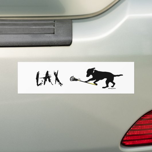 Zwarte lab die Lacrosse Bumpersticker speelt (Op auto)
