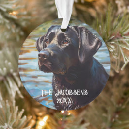 Zwarte Lab in het water Ornament