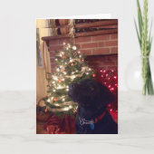 Zwarte Lab Kerst Feestdagen Kaart (Voorkant)