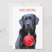 Zwarte Lab Kerstmis  - Schattige Labrador Hond Kaart (Voorkant)