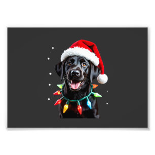 Zwarte Lab Labrador Kerstboom Licht Pyjama Hond Foto Afdruk