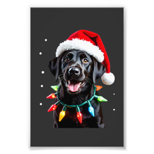 Zwarte Lab Labrador Kerstboom Licht Pyjama Hond Foto Afdruk